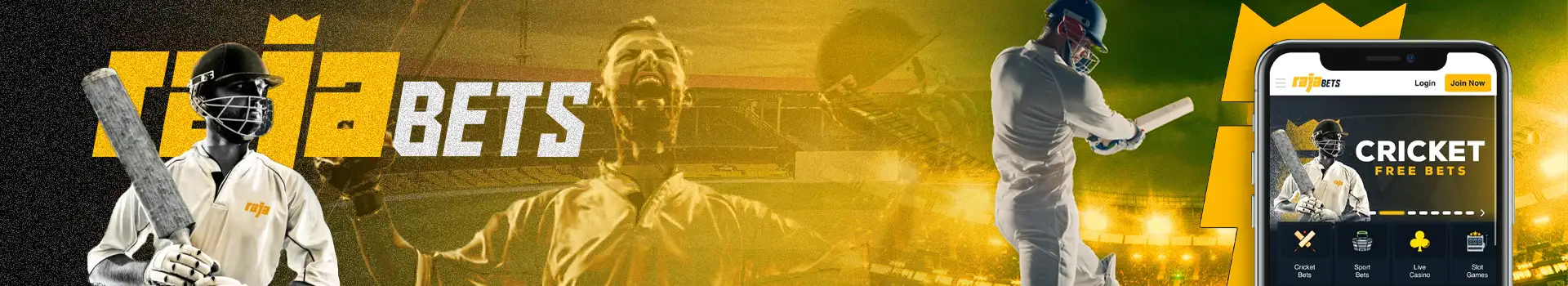 cricket hero image